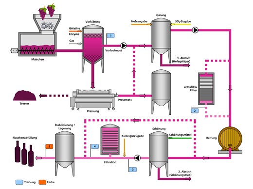 Weinherstellungsprozess